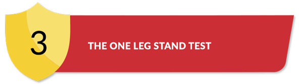Title for The One Leg Stand Test Section